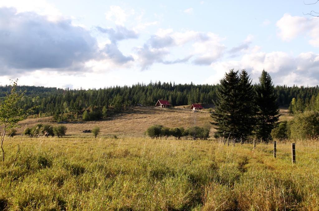 Willa Bear Valley Highlands Lumby Zewnętrze zdjęcie